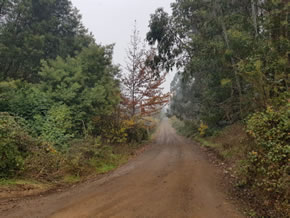 Seremi Durán anuncia la pavimentación de nuevos caminos para la comuna de Colbún