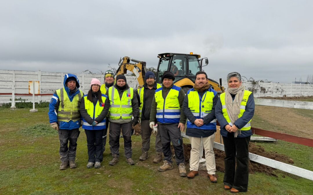Personal de la Dirección de Aeropuerto conserva Aeródromo de Curicó