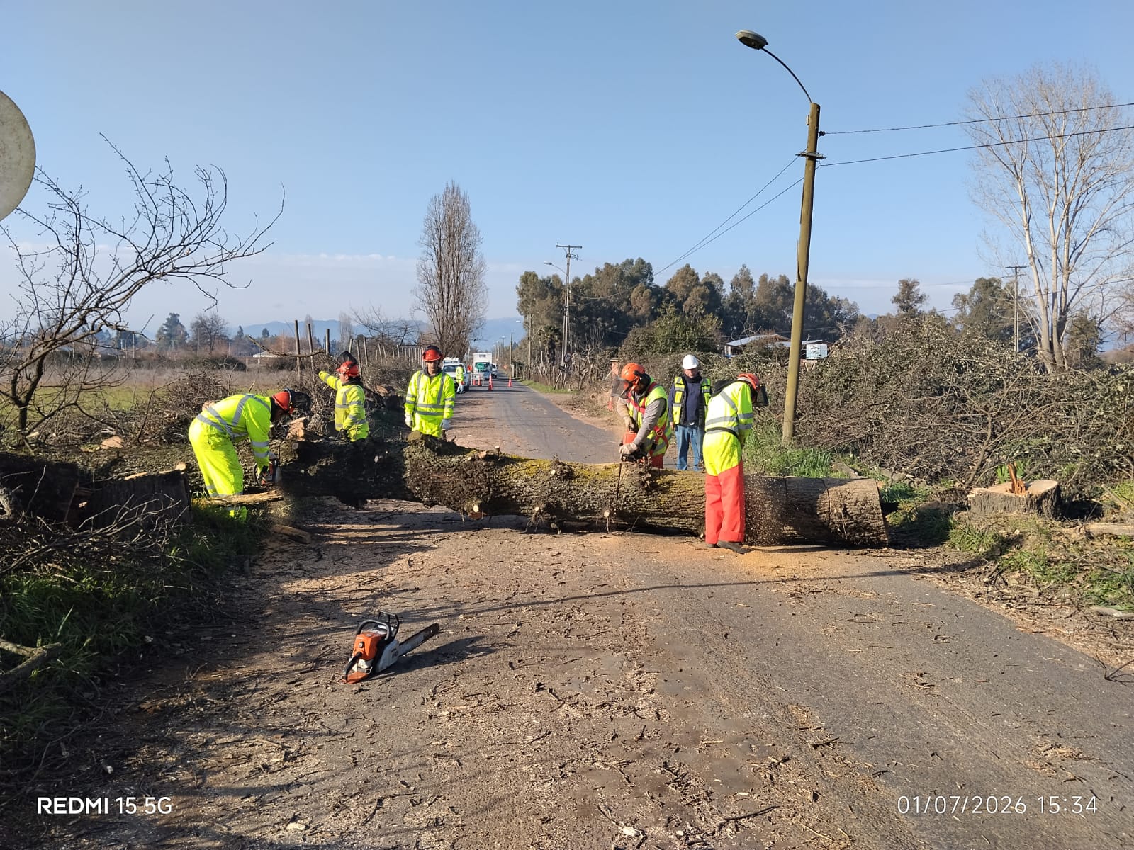 Por precaución Dirección de Vialidad efectúa retiro de árboles sin vida en ruta San Antonio San Víctor Álamos de Linares